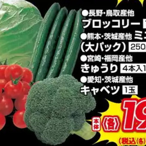 きゃべつ