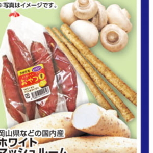 ごぼう