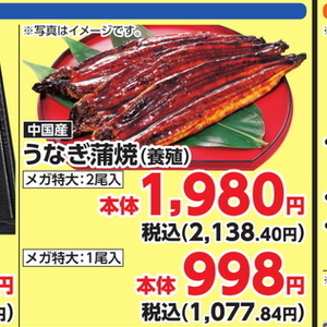 うなぎの蒲焼き