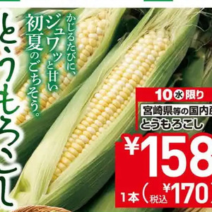 とうもろこし