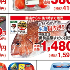 いか（刺身）