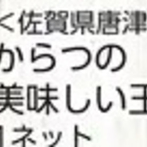 たまねぎ