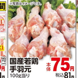 鶏手羽元