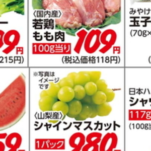 ブロッコリー