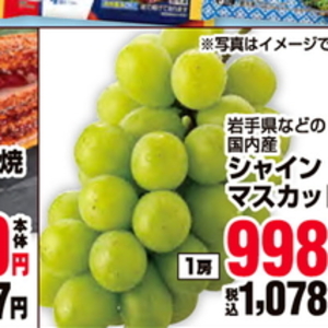 うなぎの蒲焼き
