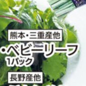 こまつ菜