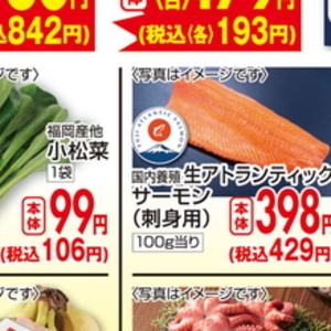 こまつ菜