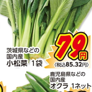 こまつ菜
