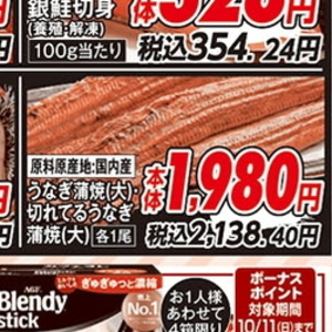 うなぎの蒲焼き