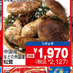 その他きのこ類
