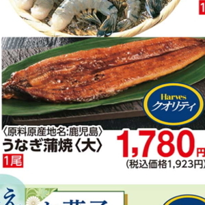 うなぎの蒲焼き