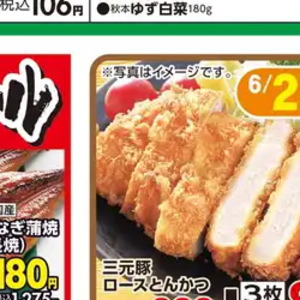 うなぎの蒲焼き