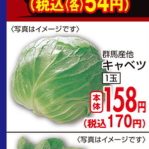 きゃべつ