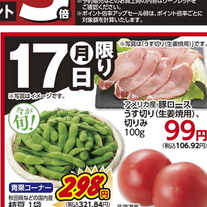 豚ロース薄切り