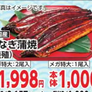 うなぎの蒲焼き