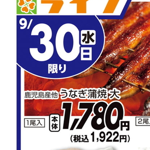 うなぎの蒲焼き