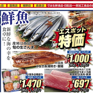 うなぎの蒲焼き