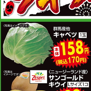 きゃべつ