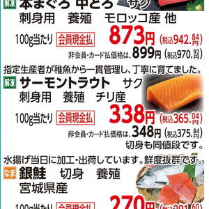 サーモン（さく取り）