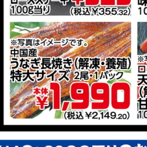 うなぎの蒲焼き