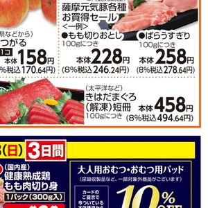 まぐろ（さく取り）