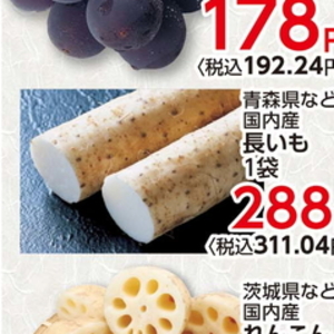 ながいも