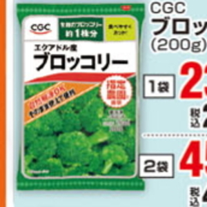 ブロッコリー