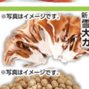 まいたけ