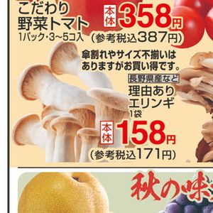 エリンギ