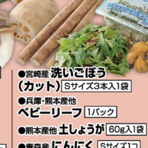 ごぼう
