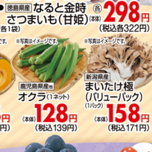 まいたけ