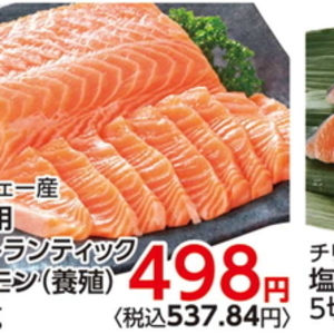 サーモン（刺身）