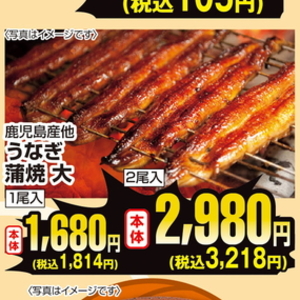 うなぎの蒲焼き