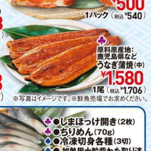 うなぎの蒲焼き