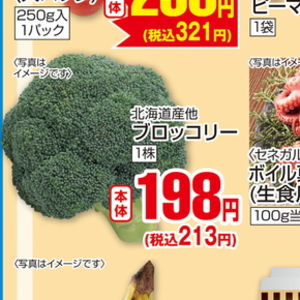 ブロッコリー