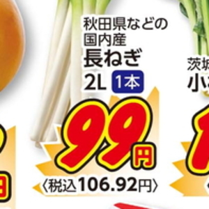 ながねぎ
