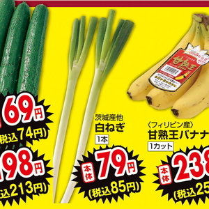 ながねぎ