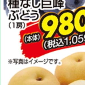 その他魚介刺身