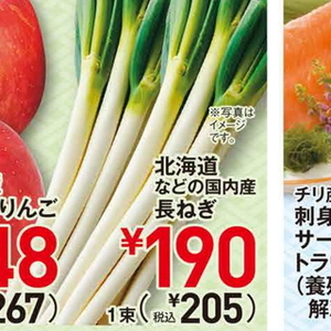 ながねぎ