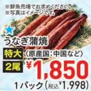 うなぎの蒲焼き