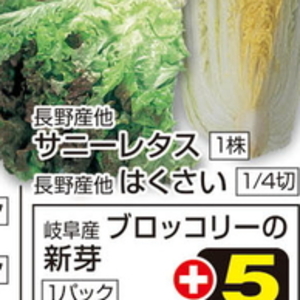 はくさい