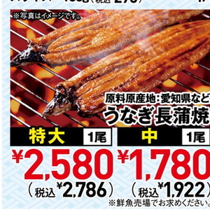 うなぎの蒲焼き