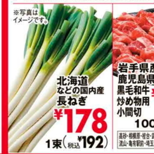 ながねぎ