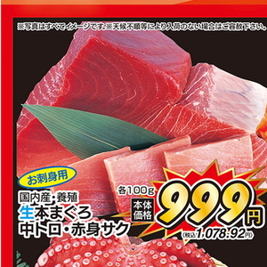 まぐろ（さく取り）