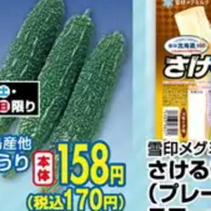 新ごぼう