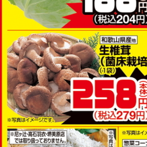しいたけ