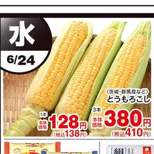 とうもろこし