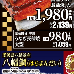 うなぎの蒲焼き