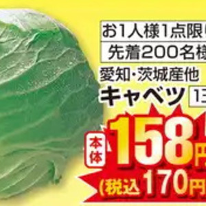 きゃべつ