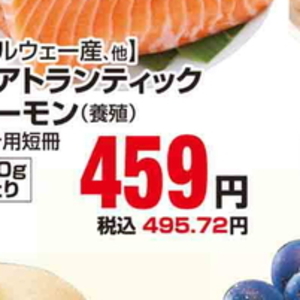 サーモン（さく取り）